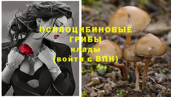прущие крисы Армянск